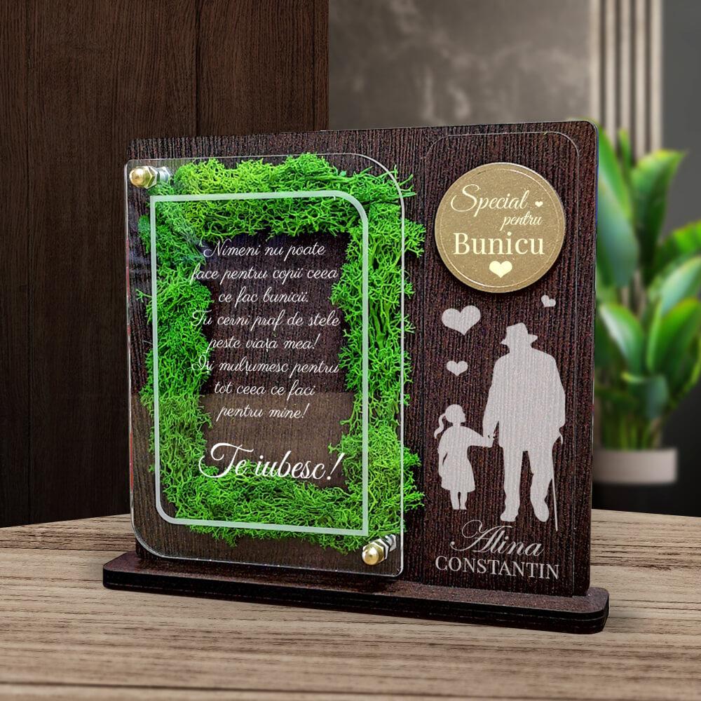 trofeu-personalizat-cu-licheni-pentru-bunic-de-la-nepoata